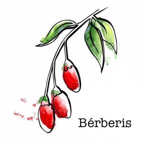 „Berberis.swiss“ logo