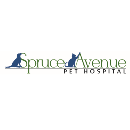 Spruce Avenue Pet Hospital