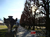 DSC03684.JPG