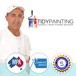 Tidy Painting Services logo