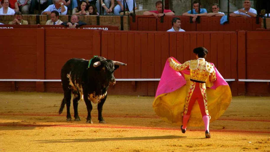 Authentic PERSONALIZED bullfighter banderillas I Bullfighting Accessories