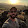 Scott Schrob Scott Schrob's profile photo