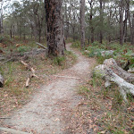 Track down from the Pinnacles car park (107758)