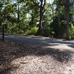 Trail down into forest in from Main Ridge in Blackbutt Reserve (399874)