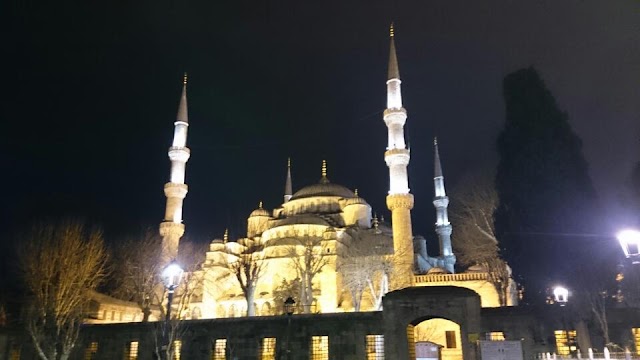 Blue Moqsue Apart