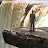 Ed Capes avatar image