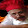 Ade Stevens Ade Stevens's profile photo