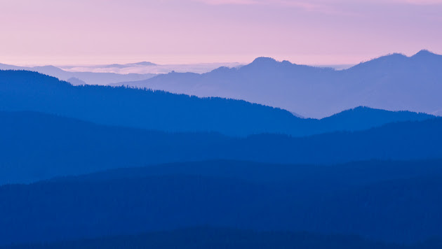 Cover photo