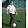 Babak Parviz Babak Parviz's profile photo