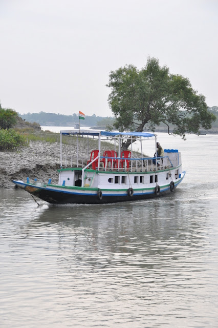 Sundarbans y Bangalore (5-7 de diciembre de 2010) - Infierno Y Paraíso, India Y Maldivas (2010) (1)