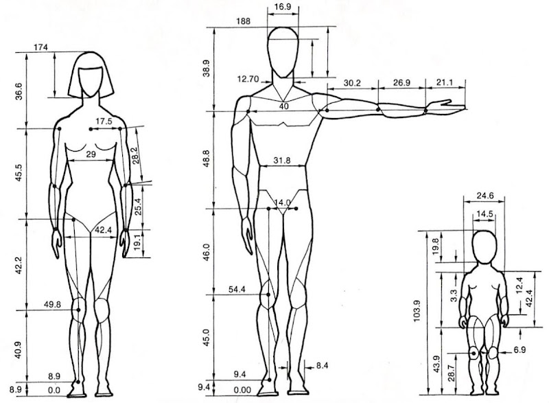 head to shoulder perspective - Woodcarving Illustrated