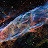Alex Evans avatar image