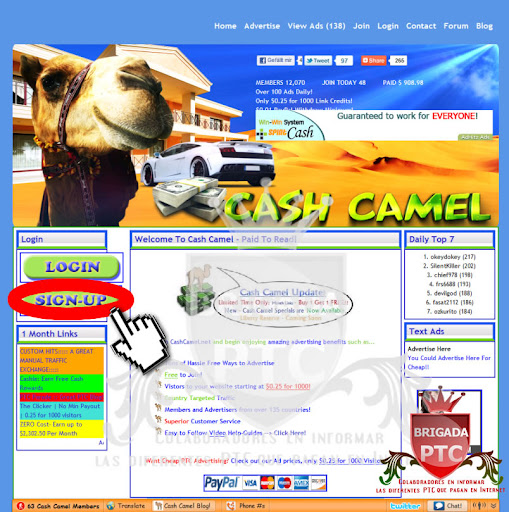 Guia de usuario de CashCamel Tutorial con Imagenes Tutoriales-CashCamel