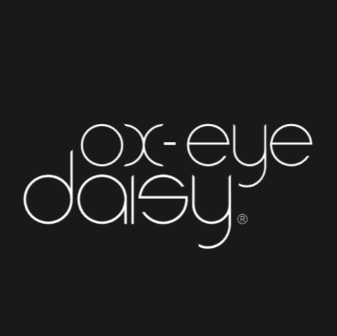 ox-eye daisy logo