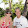 Hawaiian Travel Hawaiian Travel's profile photo