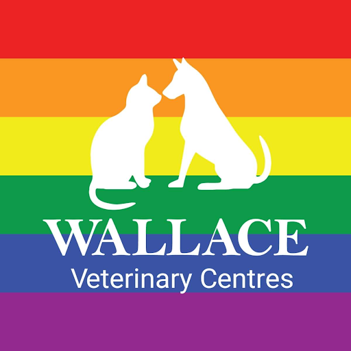 Wallace Vets - Broughty Ferry logo
