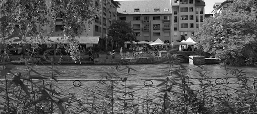 RIVE DROITE coloriste végétal Annecy, Nice