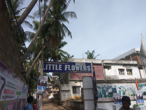 Little Flowers English Medium High School, Araku - Visakhapatnam Rd, Pendurthi, Visakhapatnam, Andhra Pradesh 531173, India, School, state AP