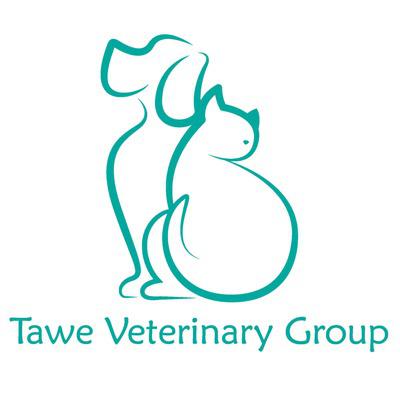 Tawe Veterinary Group - Gorseinon
