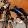 eugene denouden eugene denouden's profile photo