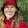 Holly Schindler Holly Schindler's profile photo
