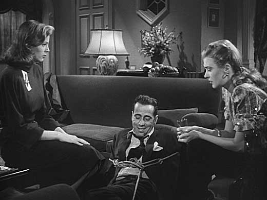 The Big Sleep Hosted by Picasa