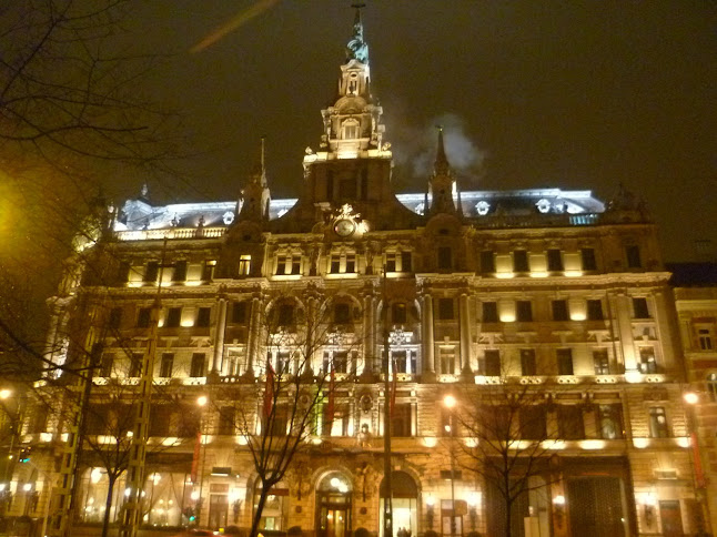 Invierno en Budapest - Blogs de Hungria - Día 1:Llegada (2)