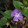 Jorgete Moreira Jorgete Moreira's profile photo