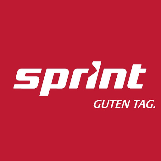Sprint KFZ Werkstatt, Dennis Pflanz logo