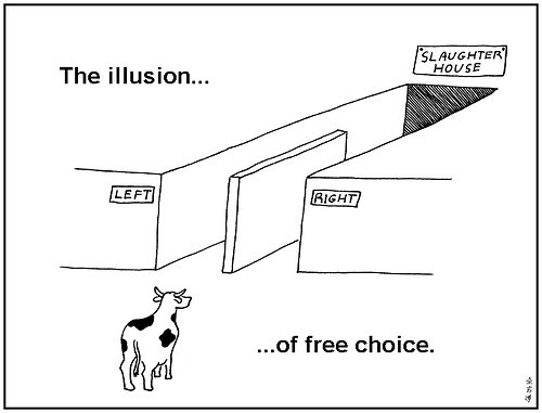 Illusion de choisir