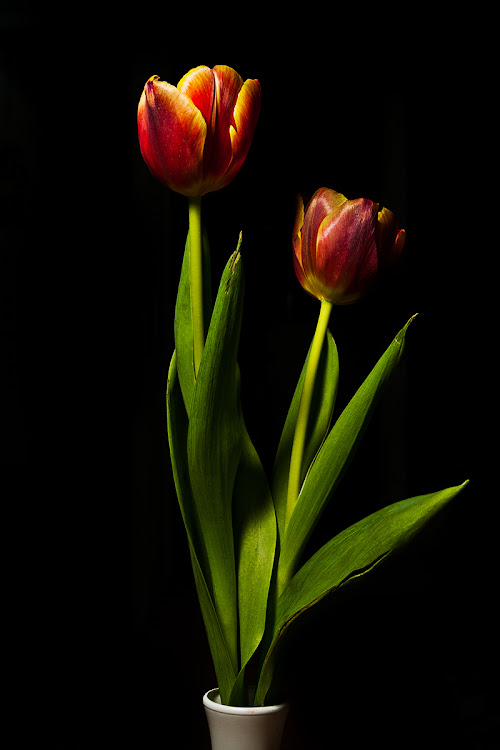 posted image