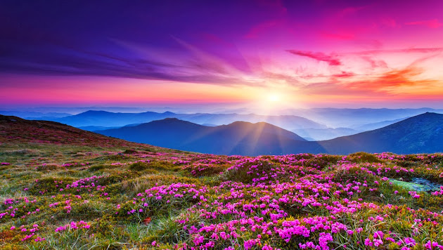 Cover photo