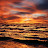 Matt Ricci avatar image