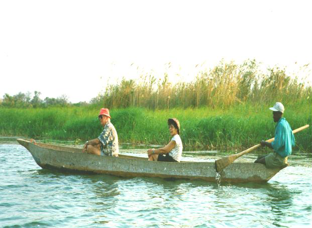 Exploring the Chobe Swamps