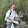 Shzh Qiu Shzh Qiu's profile photo