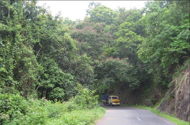 Snaps from Idukki part two 4