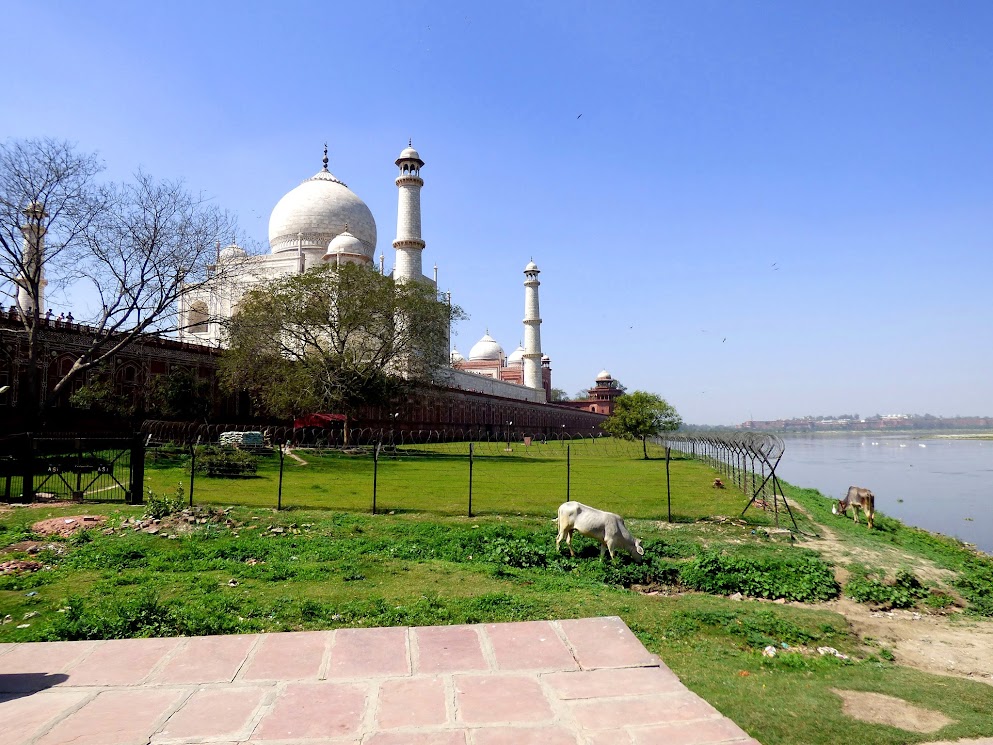  La Yamuna derrière le Taj Mahal 