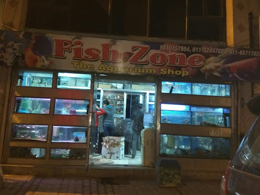 Fish H Zone, Shop.no B - 1, Greater Kailash Enclave Part 2, Oppsosite Savitri Cinema, New Delhi, Delhi 110048, India, Aquarium, state DL