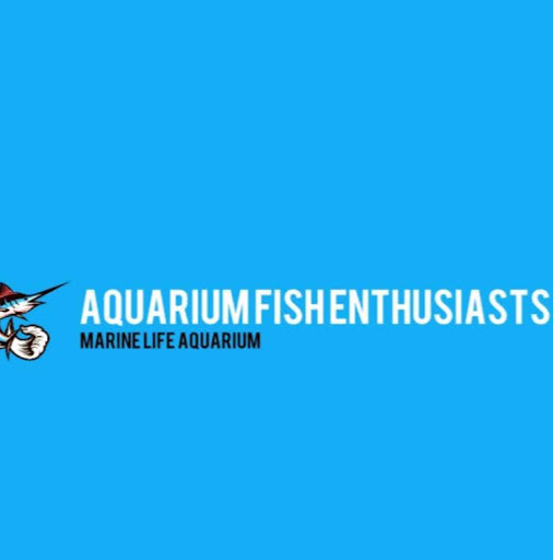 Aquarium fish enthusiasts