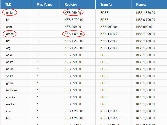 Kenya Website Experts domains pricing