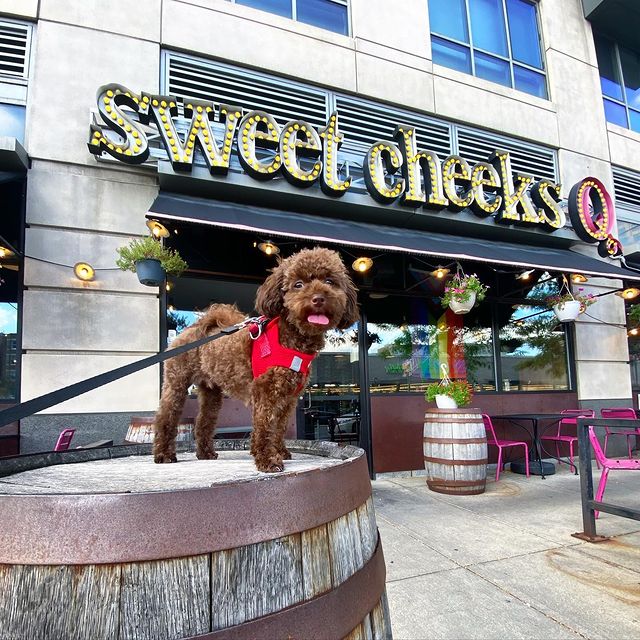 Sweet Cheeks, Dog-Friendly Restaurants in Boston