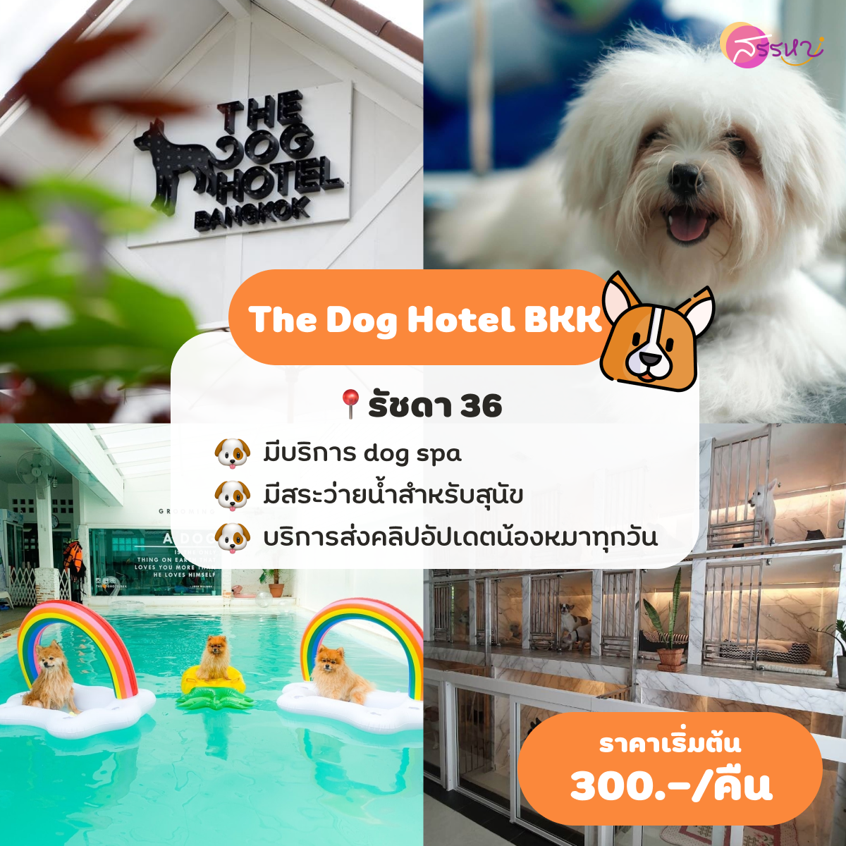 The Dog Hotel BKK