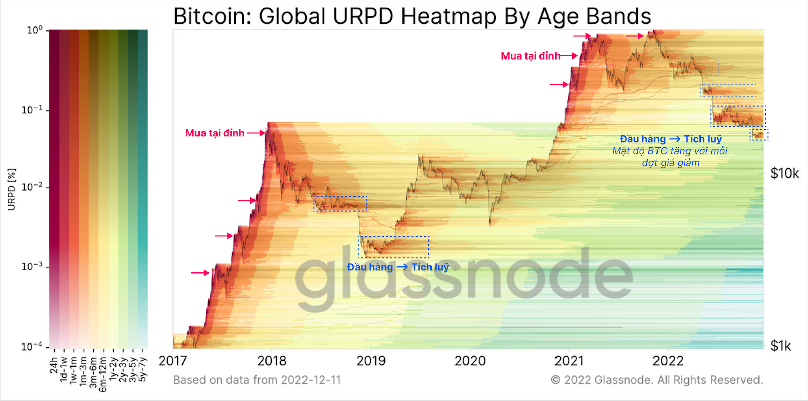 Phân tích dữ liệu On-chain (Tuần 50/2022)