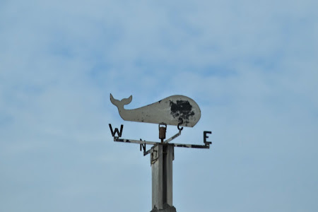 Мексика. И станут направления дорогами.