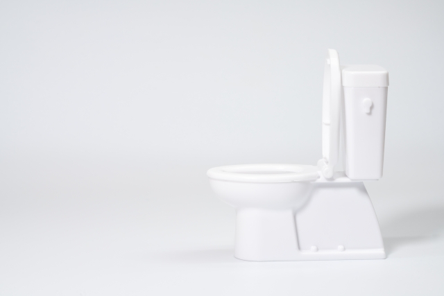 トイレ詰まりを業者に依頼すべき事案