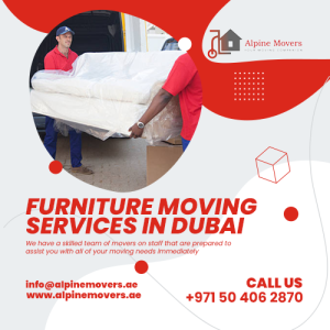 Villa Movers and Packers in Dubai, TAGUAS SIDE HUSTLES
