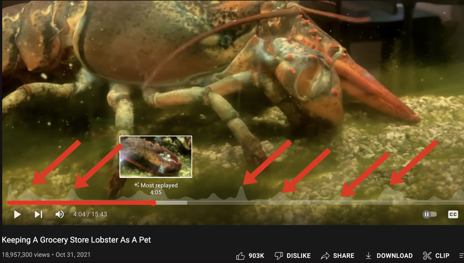 A screenshot of a video with a retention graph on the bottom of the screen.