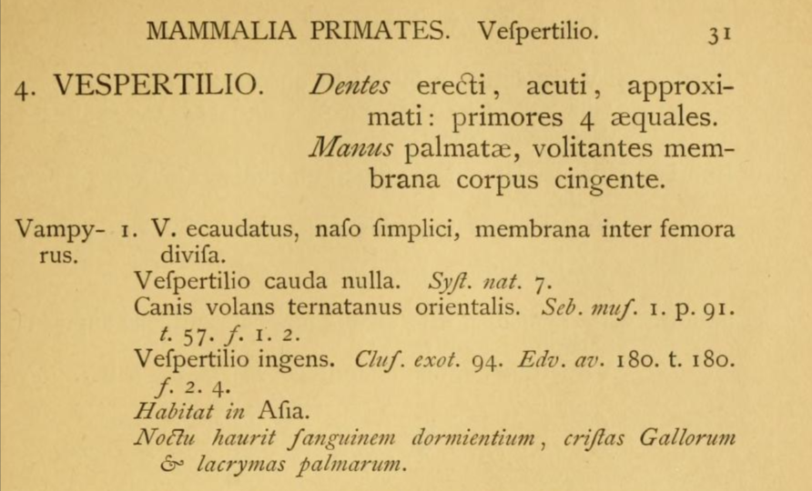 Figure 16. Original description of Pteropus vampyrus as Vespertilio vampyrus by Linnaeus 1758. [11]