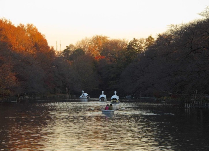 Inokashira park