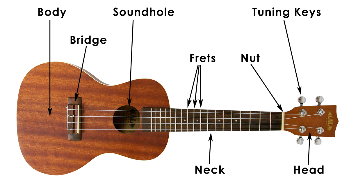 Learn How to Hold a Ukulele - Ukulele Tutorial for Beginners